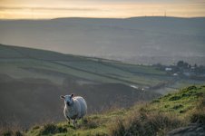 _7815899.jpg _7815899.jpg