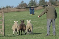 _7821625.jpg _7821625.jpg