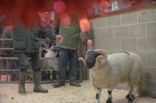 _7821874.jpg _7821874.jpg