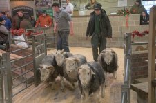 _7821832.jpg _7821832.jpg