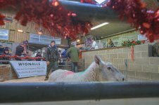 _7815971.jpg _7815971.jpg