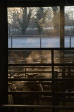 _7821797.jpg _7821797.jpg