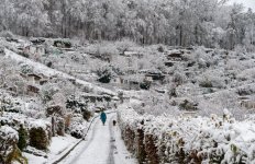 DSC_4073.jpg DSC_4073.jpg