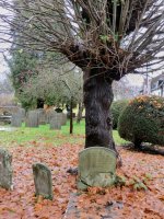 CIMG0814.jpg CIMG0814.jpg