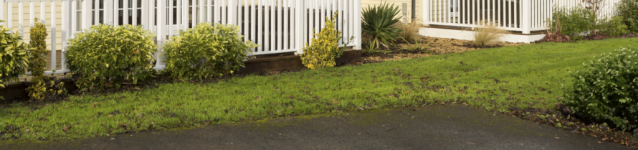 1702304746679.png 1702304746679.png