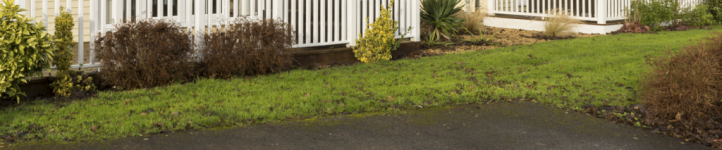 1702304764126.png 1702304764126.png