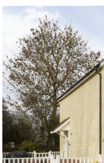 1702304963243.png 1702304963243.png