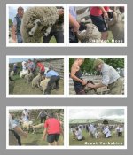 2023-12-11_145913.jpg 2023-12-11_145913.jpg