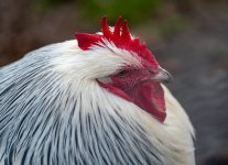 DSC_4094.jpg DSC_4094.jpg