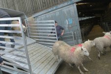 _7816082.jpg _7816082.jpg