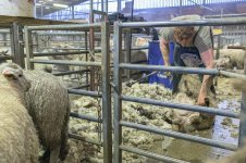 _7816143.jpg _7816143.jpg