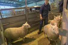 _7816221.jpg _7816221.jpg