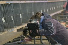 _7822001.jpg _7822001.jpg