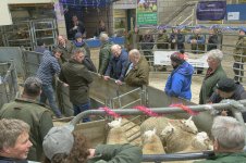 _7816190.jpg _7816190.jpg