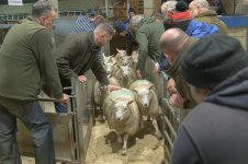 _7816249.jpg _7816249.jpg