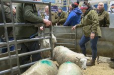 _7816266.jpg _7816266.jpg