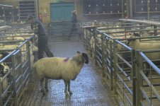 _7816127.jpg _7816127.jpg