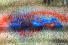 _7816146.jpg _7816146.jpg