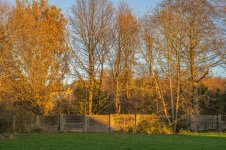 nifty fifty Large.jpeg nifty fifty Large.jpeg