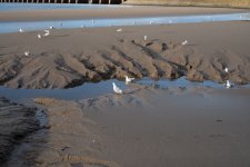 DSC00323.jpg DSC00323.jpg