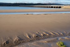 DSC00334.jpg DSC00334.jpg