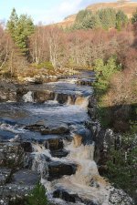 DSCF1093-copy-tp.jpg DSCF1093-copy-tp.jpg