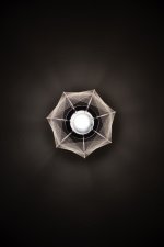 R6_I8140.jpg R6_I8140.jpg