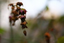 SJWO9567.jpg SJWO9567.jpg