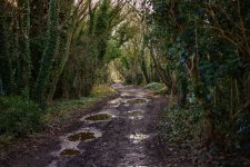 IMG_1190T - Copyx760.jpeg IMG_1190T - Copyx760.jpeg