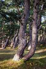 IMG_1224Tx760.jpeg IMG_1224Tx760.jpeg