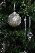 IMG_9222dec2.jpg IMG_9222dec2.jpg