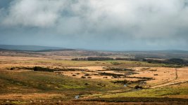 002 Blackabrook Valley 01-7570 PS Adj.JPG