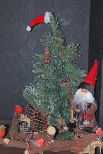 IMG_9557.jpg IMG_9557.jpg