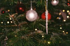 000001700001 (1) Xmas.jpg