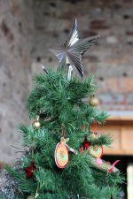 IMG_1038tree star.jpg IMG_1038tree star.jpg