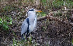 004 20 12 23.jpg 004 20 12 23.jpg