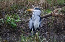 006 20 12 23.jpg 006 20 12 23.jpg