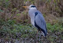 011 20 12 23.jpg 011 20 12 23.jpg