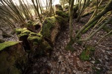 _DSC0907.jpg _DSC0907.jpg