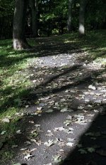 Northumberland Park 2021 route of an old coal wagonway.jpg