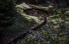 Northumberland park 2021.jpg