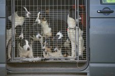 _7822056.jpg _7822056.jpg