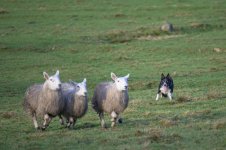 _7822035.jpg _7822035.jpg