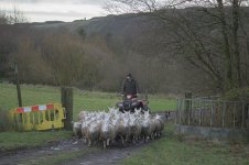 _7822095.jpg _7822095.jpg