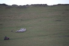 _7822106.jpg _7822106.jpg