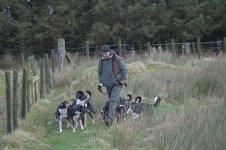 _7822113.jpg _7822113.jpg