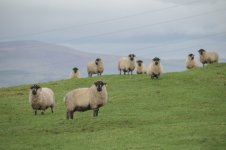 _7822276.jpg _7822276.jpg