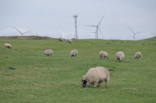 _7822282.jpg _7822282.jpg