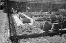 DSCF1571.jpg DSCF1571.jpg