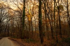 DSC_4271.jpg DSC_4271.jpg